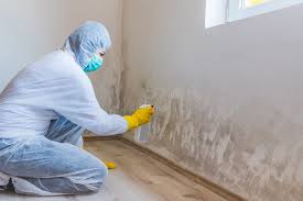 Emory, TX Mold Remediation Company